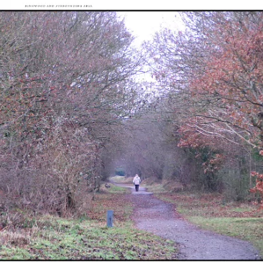 Ringwood, Hampshire, UK Nestled at the edge (now) of the New Forest, Ringwood is my home town in the UK
